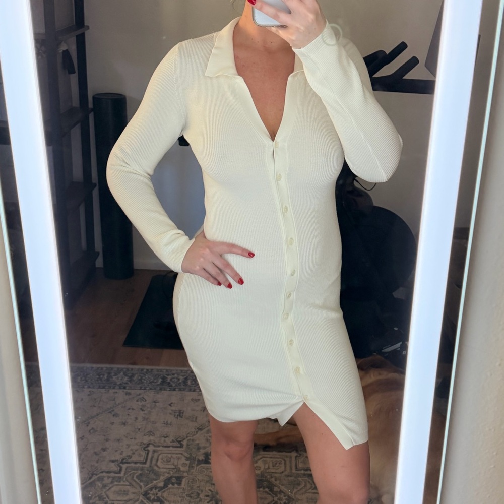 Aritzia Wilfred Cove Dress